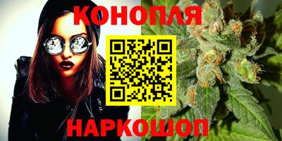 стафф Моздок