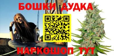 стафф Моздок