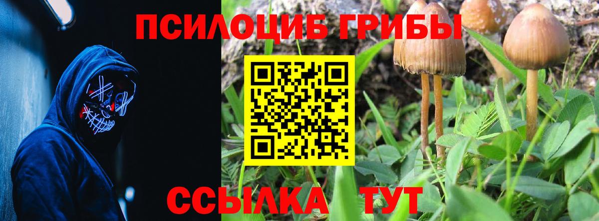 Тольятти  Псилоцибиновые грибы прущие грибы  Вход с VPN 